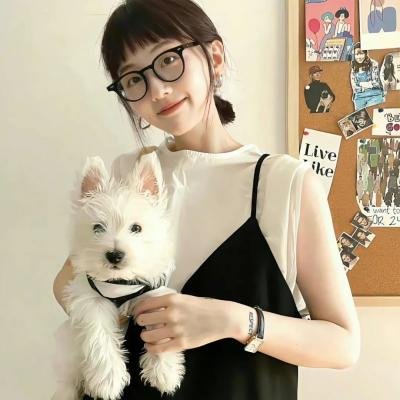 租赁猫