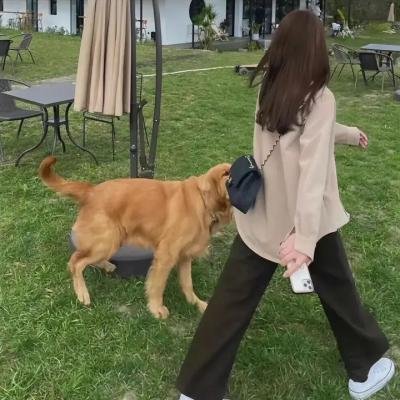 匿名杀手
